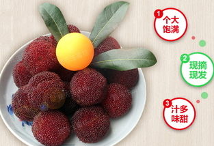 楊梅泡酒能放多久？楊梅酒保質(zhì)期