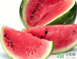 西瓜籽怎么種植？西瓜籽能種出西瓜嗎？