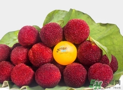 喝楊梅酒會(huì)拉肚子嗎？楊梅酒可以治療拉肚子嗎？