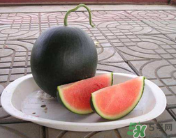 小西瓜能吃嗎？小西瓜孕婦可以吃嗎？