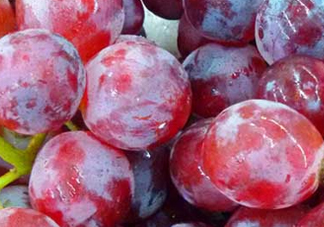 提子皮澀怎么處理？提子皮澀能吃嗎？