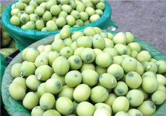 新鮮蓮子什么時候有？新鮮蓮子幾月有？