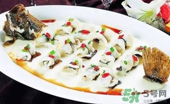 多寶魚是海魚嗎？多寶魚是海魚還是淡水魚