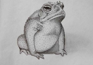 癩蛤蟆趴在腳面上是什么意思？癩蛤蟆趴到腳面上歇后語