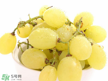 馬奶葡萄什么時(shí)候上市？馬奶葡萄2017上市時(shí)間