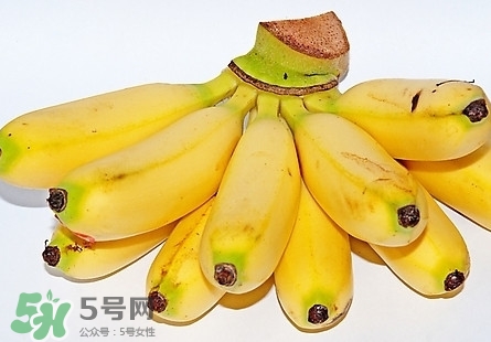 芭蕉是熱性還是涼性？芭蕉是熱性還是寒性？