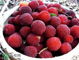 楊梅汁弄到白衣服上怎么洗？白色衣服上的楊梅汁怎么洗？