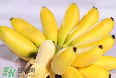 芭蕉和香蕉哪個(gè)貴？芭蕉和香蕉哪個(gè)好