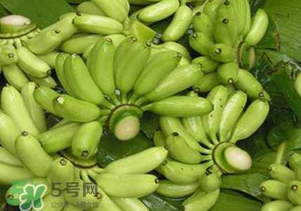 芭蕉可以放冰箱嗎？芭蕉能放冰箱保存嗎