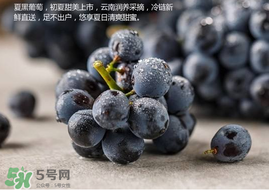 無(wú)籽葡萄孕婦能不能吃？無(wú)籽葡萄和葡萄的區(qū)別