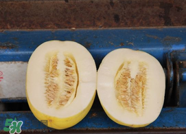 黃金瓜孕婦能吃嗎？孕婦可以吃黃金瓜嗎？