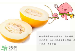 黃金瓜熱量高嗎？黃金瓜會胖嗎？