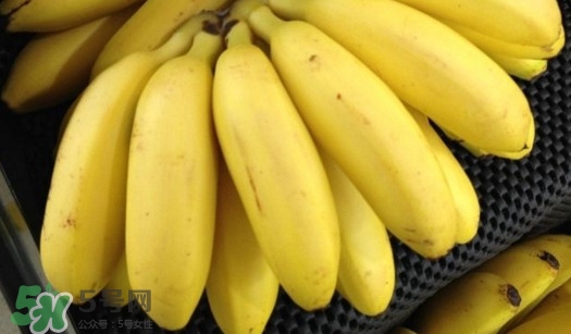 芭蕉如何保存時間久？青芭蕉摘下來怎么保存