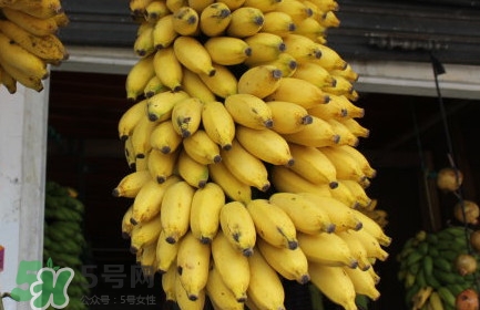 芭蕉不能和什么一起吃？芭蕉什么人不能吃