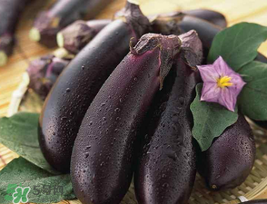 茄子怎么挑選？如何挑選茄子？