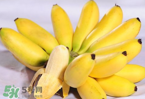 芭蕉是堿性還是酸性？芭蕉是什么季節(jié)的水果