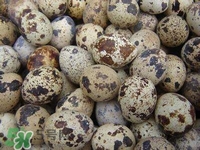 孕婦吃鵪鶉蛋會長斑嗎？孕婦吃鵪鶉蛋好還是雞蛋好？