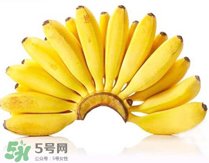 芭蕉是香蕉嗎？芭蕉和香蕉的區(qū)別