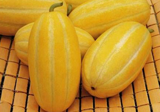 黃金瓜熱量高嗎？黃金瓜會(huì)胖嗎？