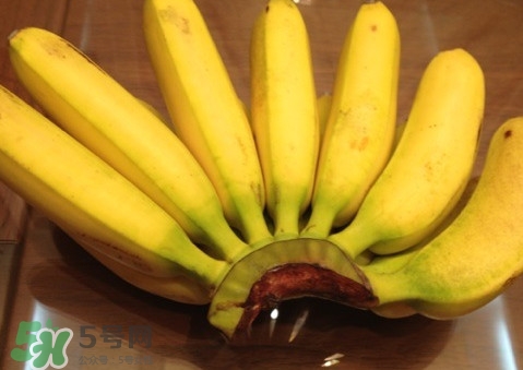 芭蕉可以放冰箱嗎？芭蕉能放冰箱保存嗎