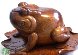 蟾蜍有什么寓意？為什么蟾蜍被寓意為招財(cái)？