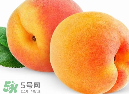 芭蕉和桃子能一起吃嗎？芭蕉可以和桃子一起吃嗎