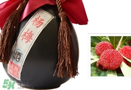 楊梅酒和青梅酒哪個(gè)好喝？楊梅酒和青梅酒區(qū)別