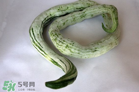 蛇瓜怎么挑選？蛇瓜的選購技巧