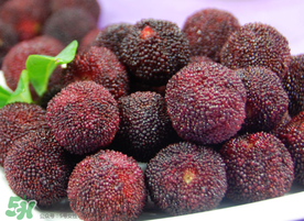 東魁楊梅多少錢一斤？東魁楊梅多少錢一斤2017？