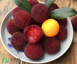 仙居楊梅幾月份上市？仙居楊梅什么時(shí)候上市？