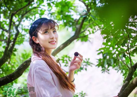 仙居楊梅在哪里？仙居楊梅哪里最好？