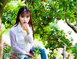 仙居楊梅在哪里？仙居楊梅哪里最好？