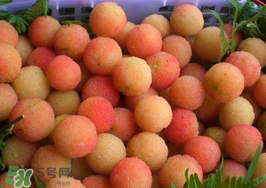 白楊梅可以泡酒嗎？白楊梅泡酒有什么功效？