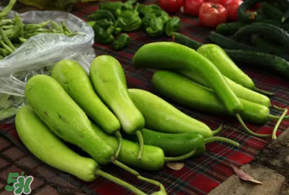 瓠子多少錢一斤？瓠子多少錢一斤2017？