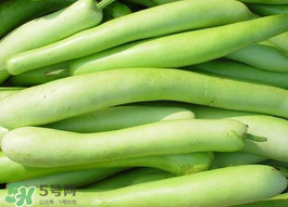 瓠子是什么？瓠子是什么意思？