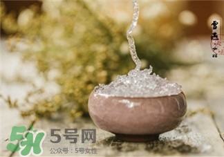 雪燕的功效 雪燕的作用 雪燕的功效 雪燕的作用