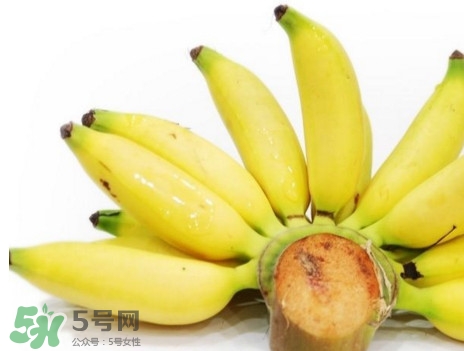 皇帝蕉是轉(zhuǎn)基因的嗎？皇帝蕉產(chǎn)地是哪里？