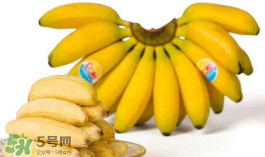 帝王蕉是芭蕉嗎？帝王蕉和芭蕉的區(qū)別