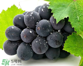 無籽葡萄有哪些品種？無籽葡萄多少錢一斤？