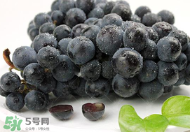 無籽葡萄有哪些品種？無籽葡萄多少錢一斤？