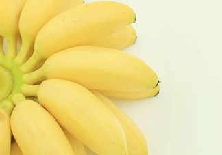 皇帝蕉是轉(zhuǎn)基因的嗎？皇帝蕉產(chǎn)地是哪里？