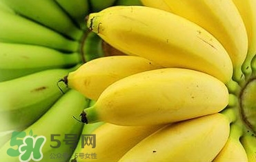 帝王蕉多少錢一斤？帝王蕉是轉(zhuǎn)基因香蕉嗎