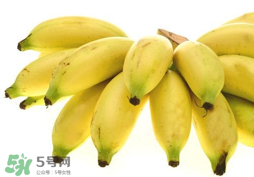 帝王蕉是芭蕉嗎？帝王蕉和芭蕉的區(qū)別