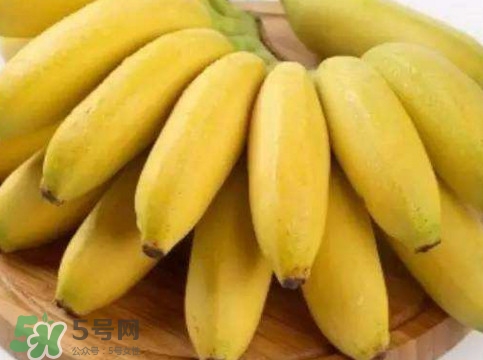 帝王蕉多少錢一斤？帝王蕉是轉(zhuǎn)基因香蕉嗎