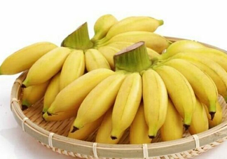 皇帝蕉是芭蕉嗎？皇帝蕉和芭蕉的區(qū)別