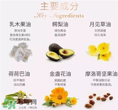 Antipodes口紅好用嗎?Antipodes口紅怎么樣? Antipodes口紅好用嗎?Antipodes口紅怎么樣?