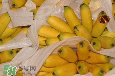 皇帝蕉是不是香蕉？皇帝蕉與普通香蕉區(qū)別