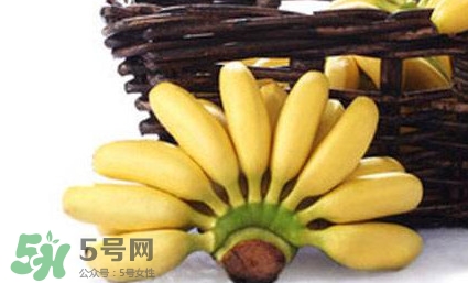 帝王蕉是芭蕉嗎？帝王蕉和芭蕉的區(qū)別