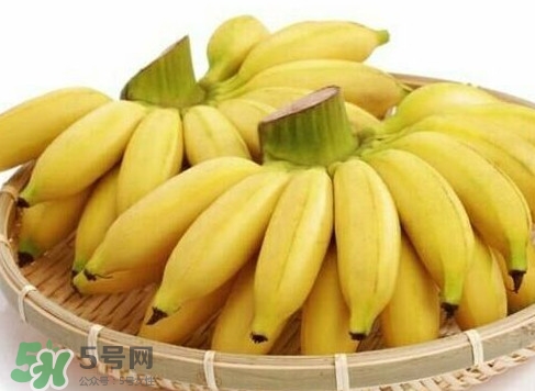 皇帝蕉是芭蕉嗎？皇帝蕉和芭蕉的區(qū)別