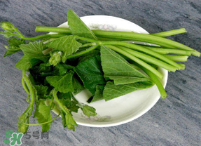 南瓜葉怎么處理？南瓜葉怎么炒？